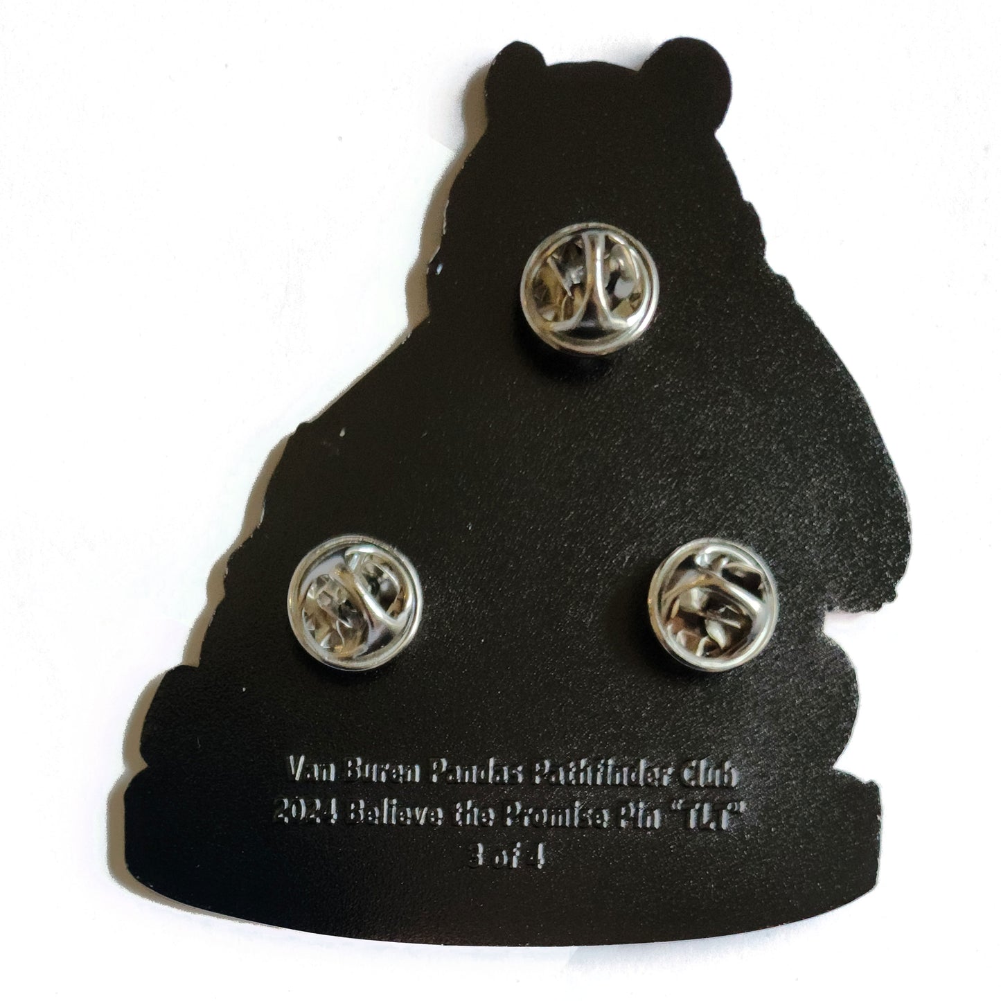 Van Buren Pandas 2024 Believe the Promise pin "TLT"